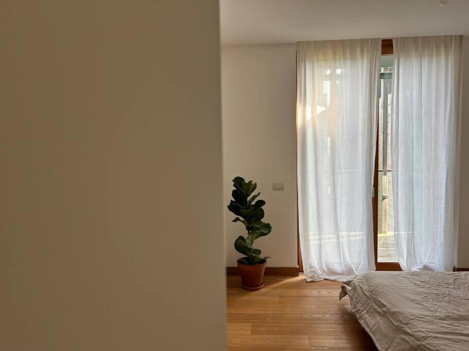 Casa Alegria Apartment Trento Bagian luar foto