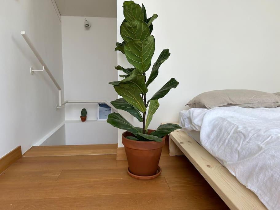 Casa Alegria Apartment Trento Bagian luar foto