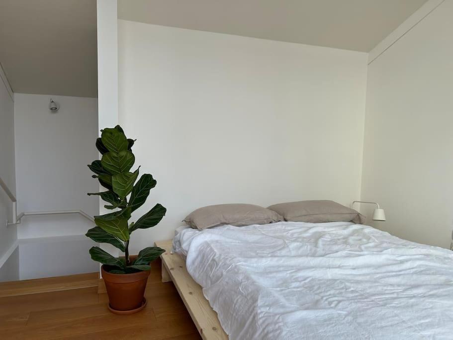 Casa Alegria Apartment Trento Bagian luar foto
