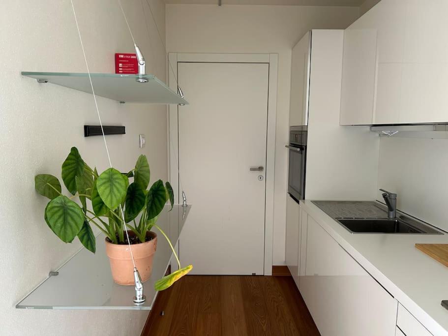 Casa Alegria Apartment Trento Bagian luar foto